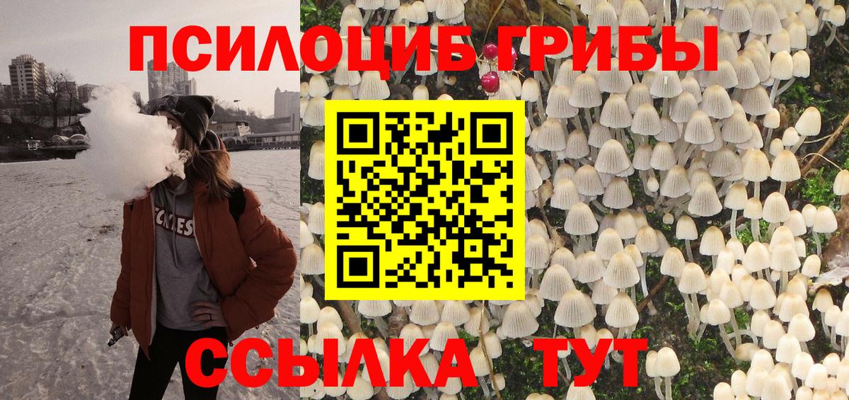 Псилоцибиновые грибы Magic Shrooms  Псилоцибиновые грибы ЛСД  Ногинск  Вход с VPN 